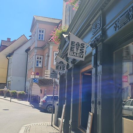 Pension Am Dom エアフルト エクステリア 写真